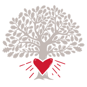 Team Page: MT Fitness